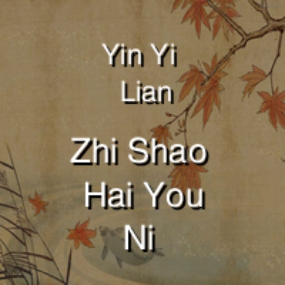 Yin Yi Lian - Zhi Shao Hai You Ni