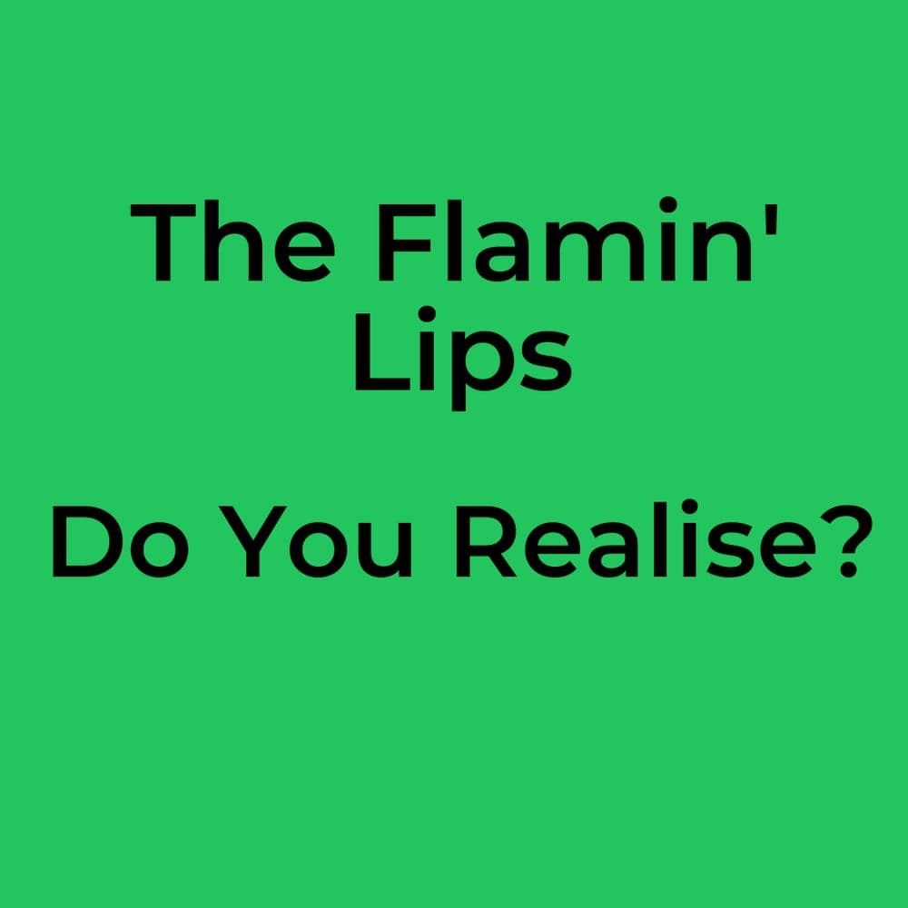 The Flamin' Lips - Do You Realise?