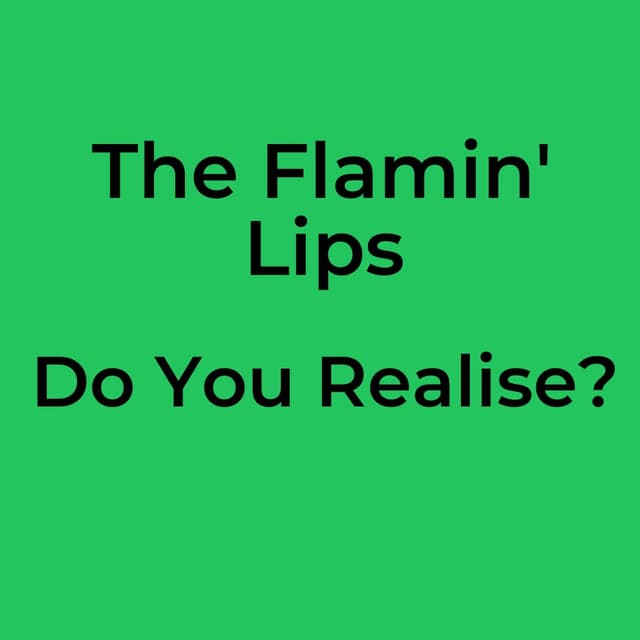 The Flamin' Lips - Do You Realise?