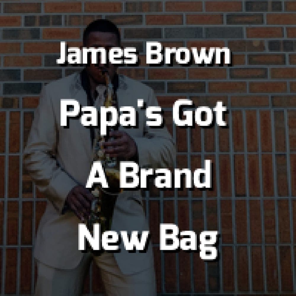James Brown - Papa's Got A Brand New Bag