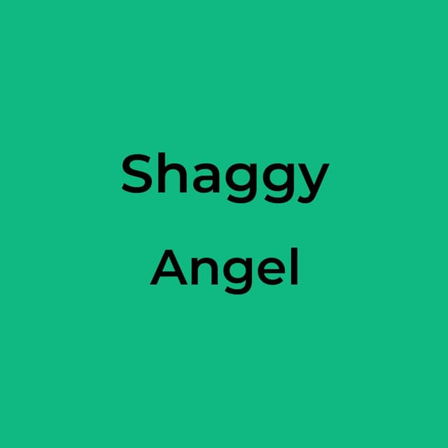 Shaggy - Angel