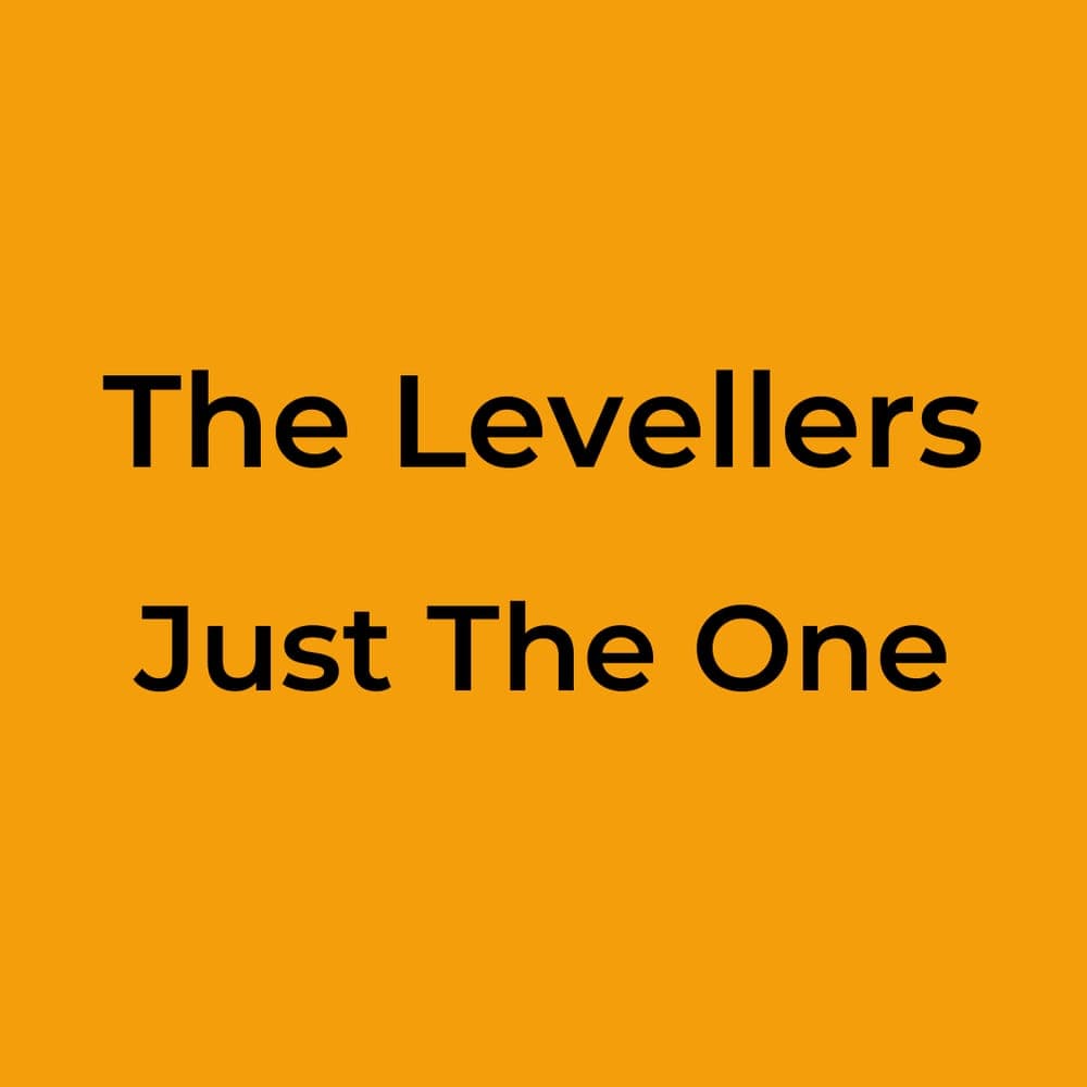 The Levellers - Just The One