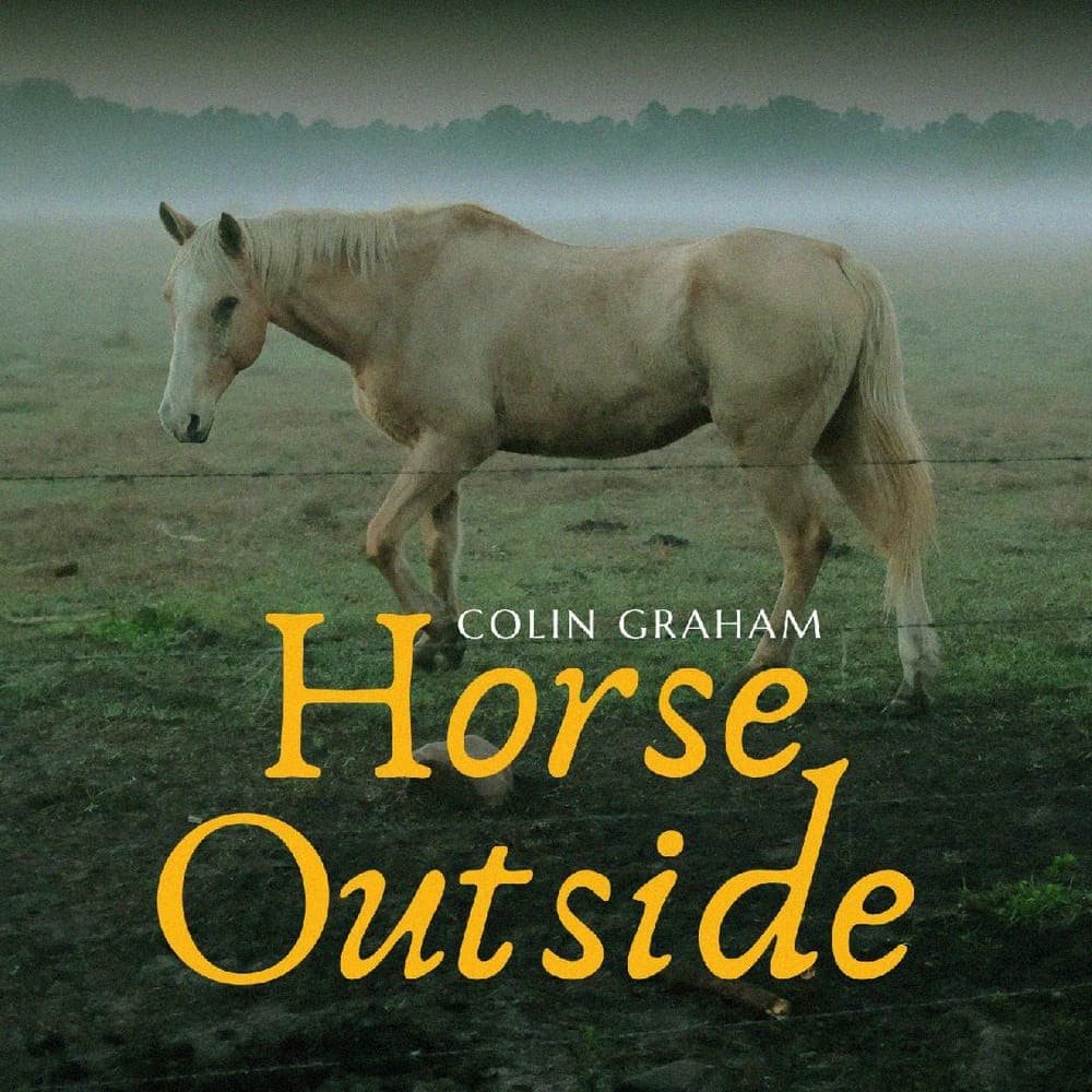 Colin Graham - Horse Outside
