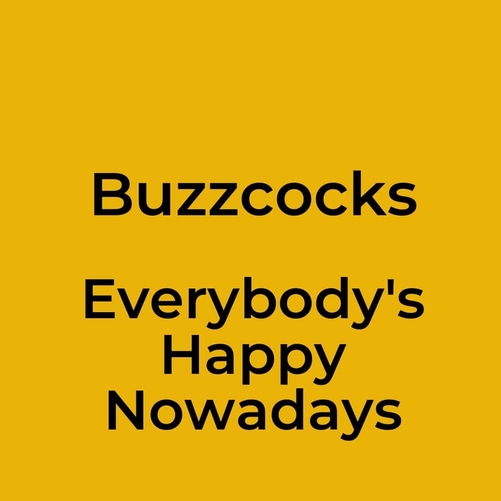 Buzzcocks - Everybody's Happy Nowadays