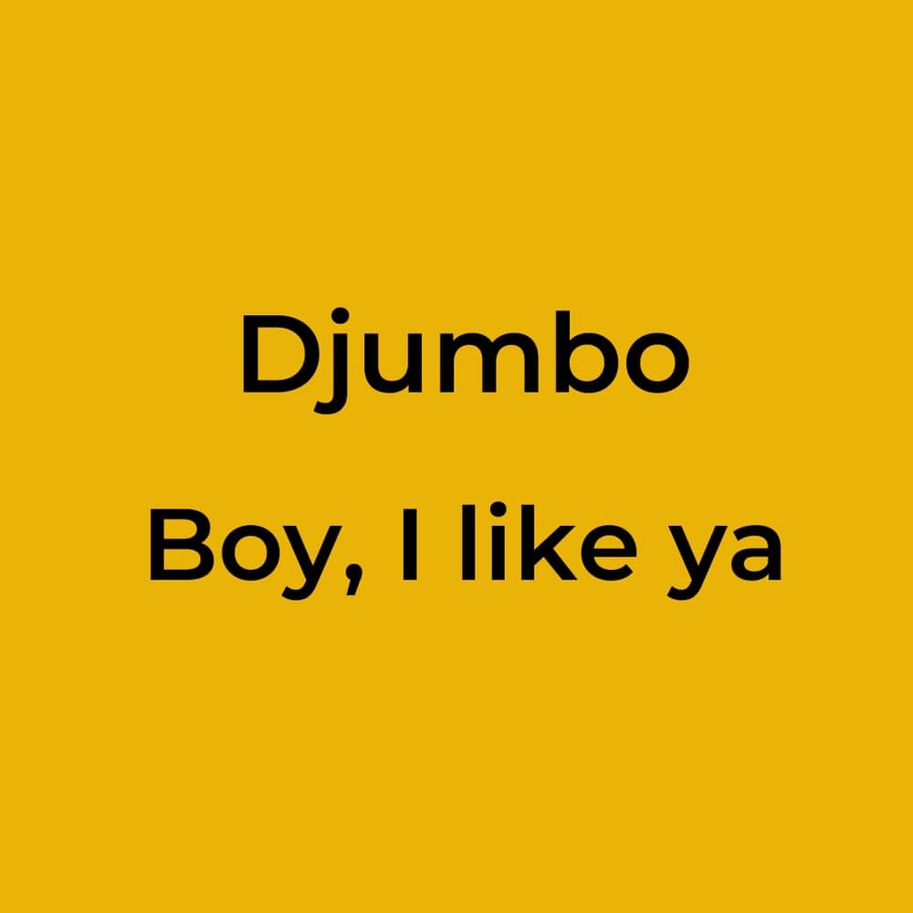 Djumbo - Boy, I like ya