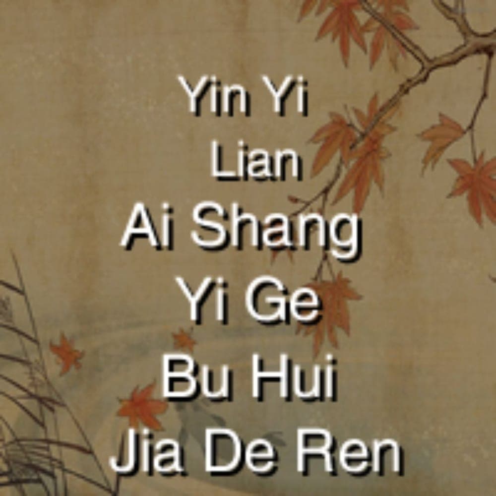 Yin Yi Lian - Ai Shang Yi Ge Bu Hui Jia De Ren