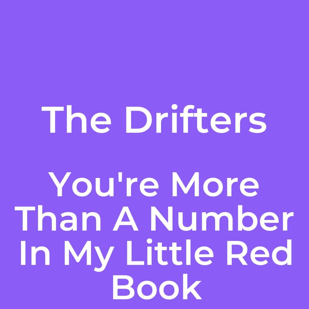 The Drifters - You're More Than A Number In My Little Red Book