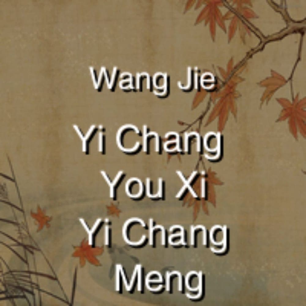 Wang Jie - Yi Chang You Xi Yi Chang Meng