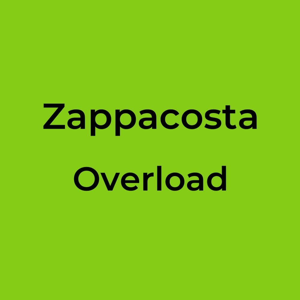 Zappacosta - Overload