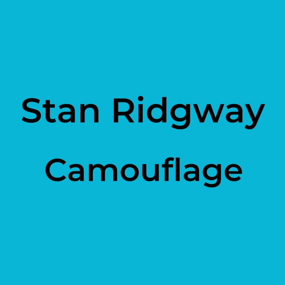 Stan Ridgway - Camouflage