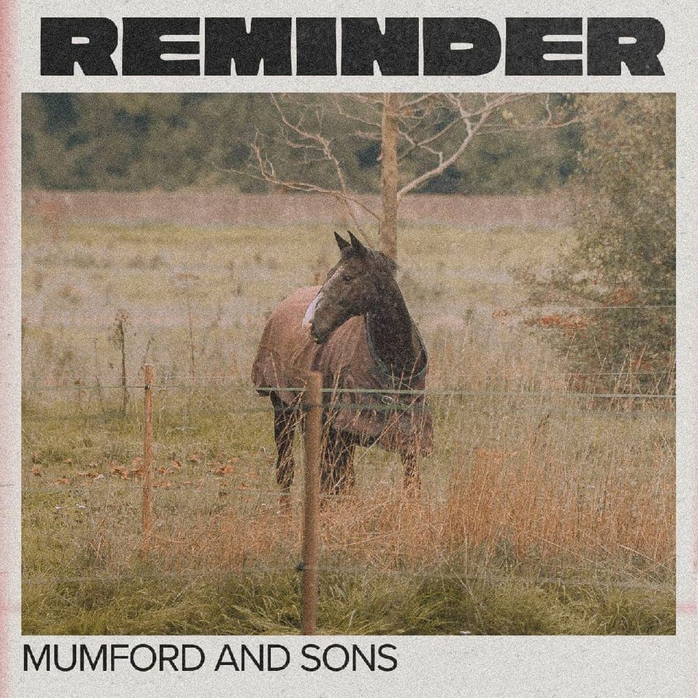 Mumford and Sons - Reminder