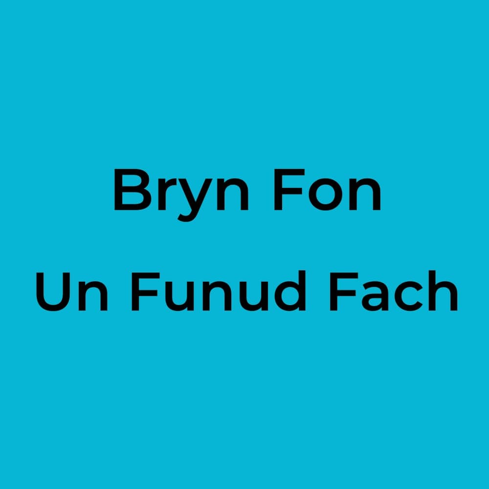 Bryn Fon - Un Funud Fach
