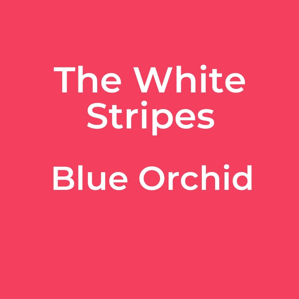 The White Stripes - Blue Orchid