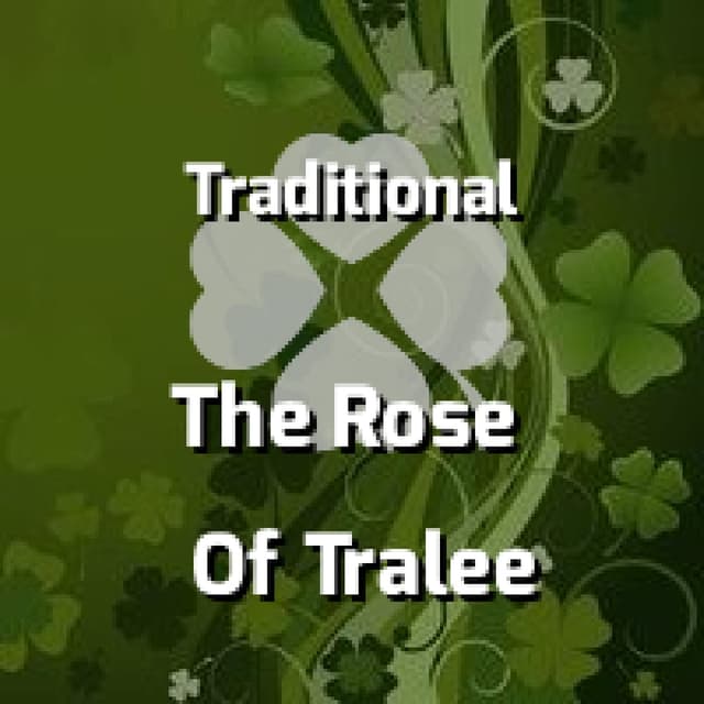 The Rose Of Tralee