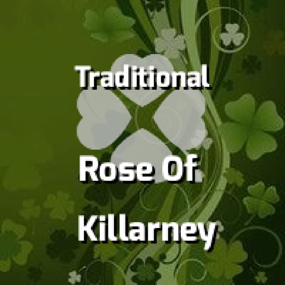 Traditional - Rose Of Killarney