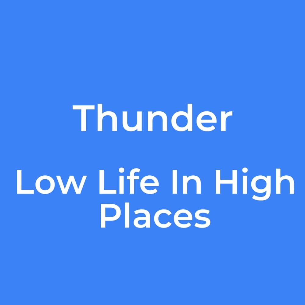 Thunder - Low Life In High Places