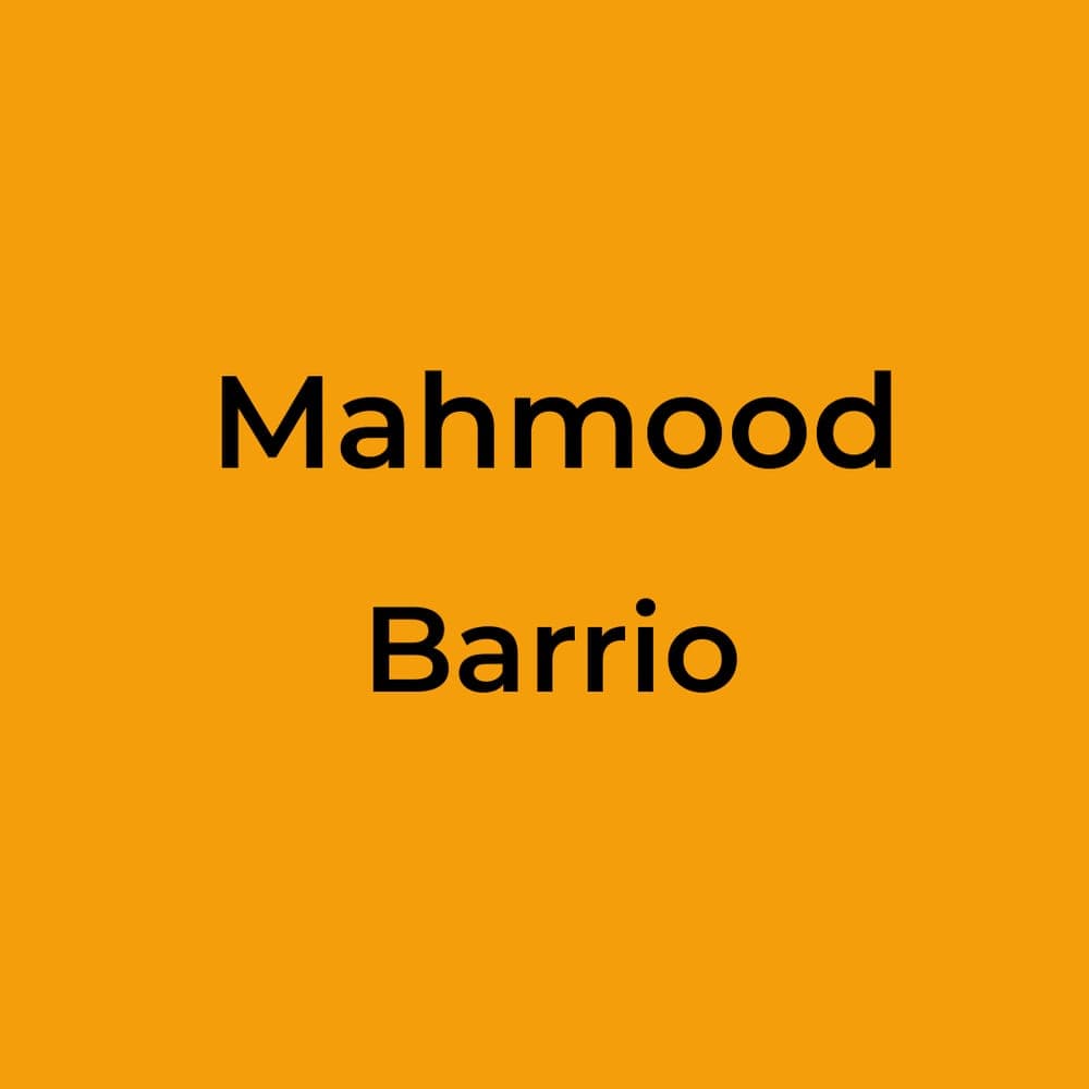 Mahmood - Barrio