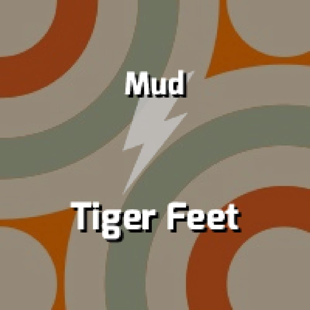 Mud - Tiger Feet