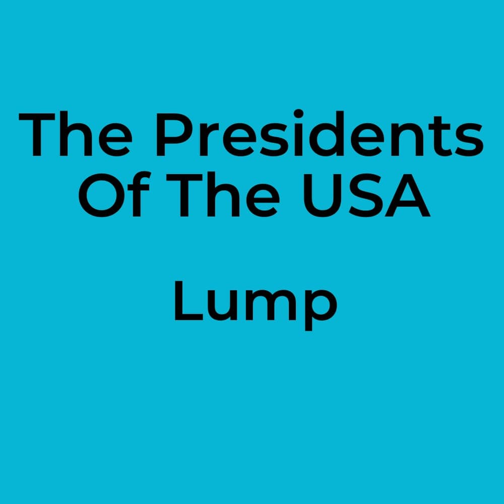 The Presidents Of The USA - Lump