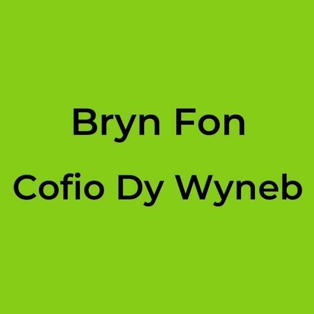 Bryn Fon - Cofio Dy Wyneb