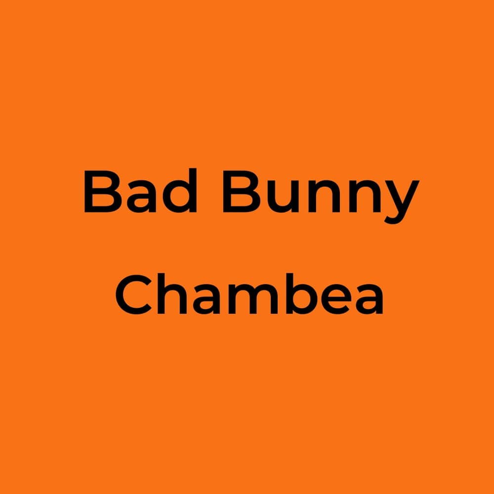 Bad Bunny - Chambea