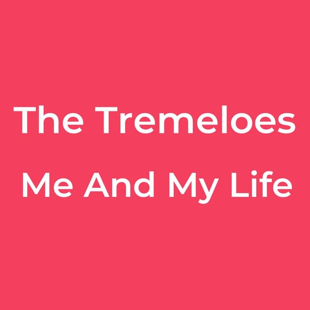 The Tremeloes - Me And My Life