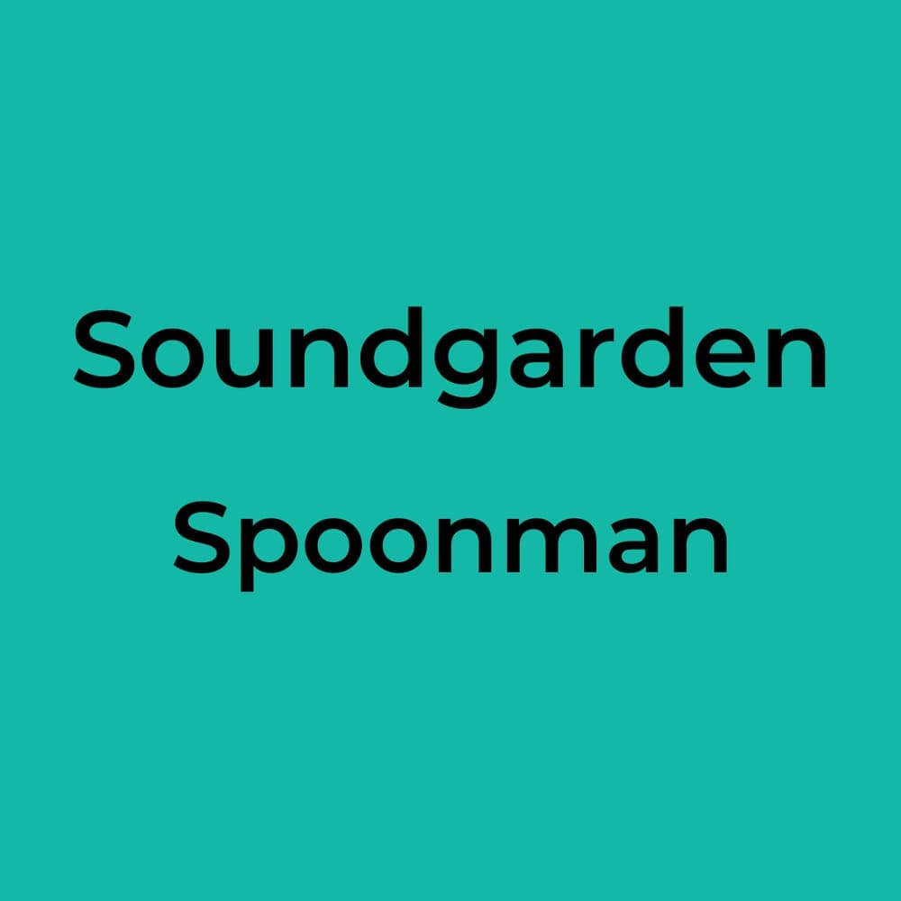 Soundgarden - Spoonman