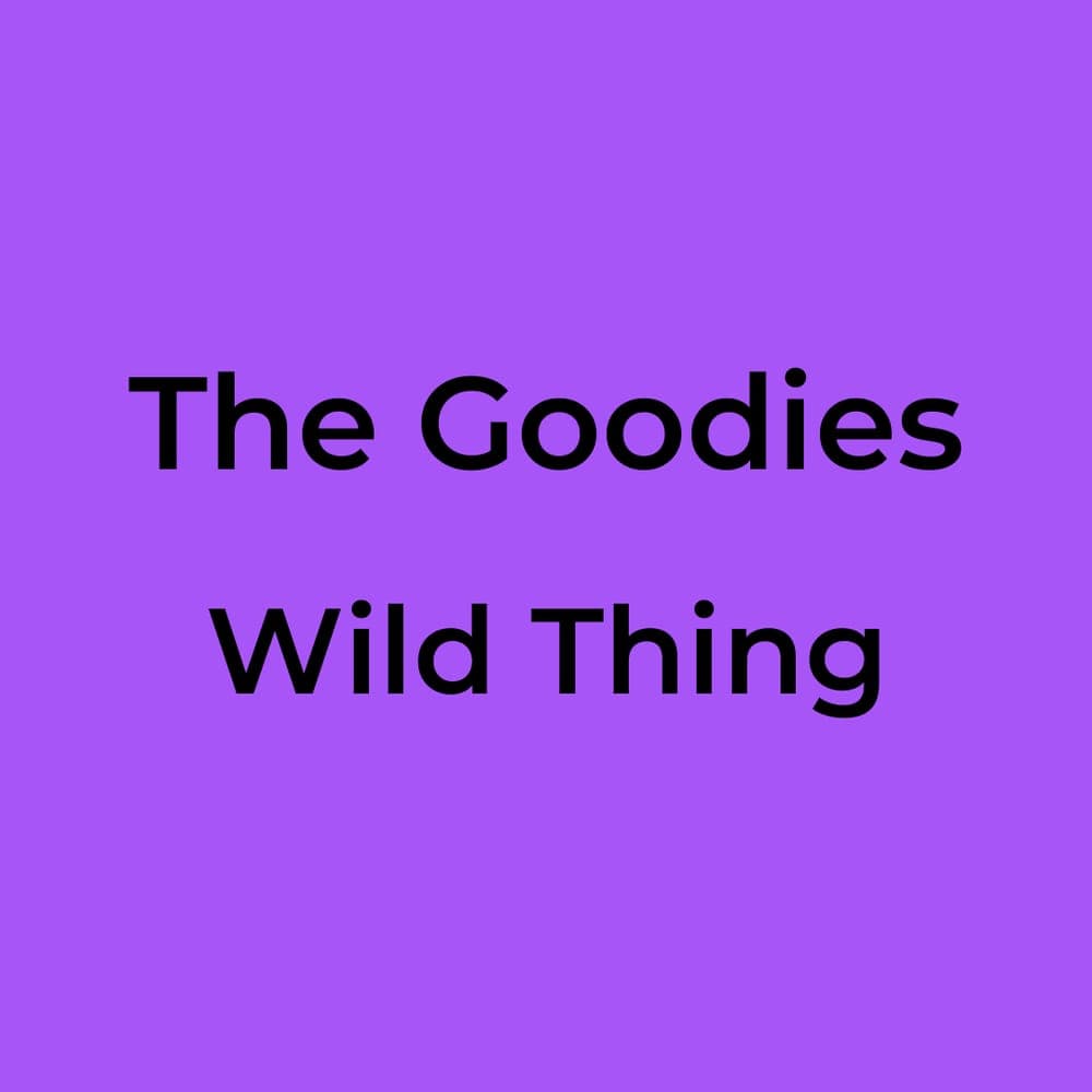 The Goodies - Wild Thing