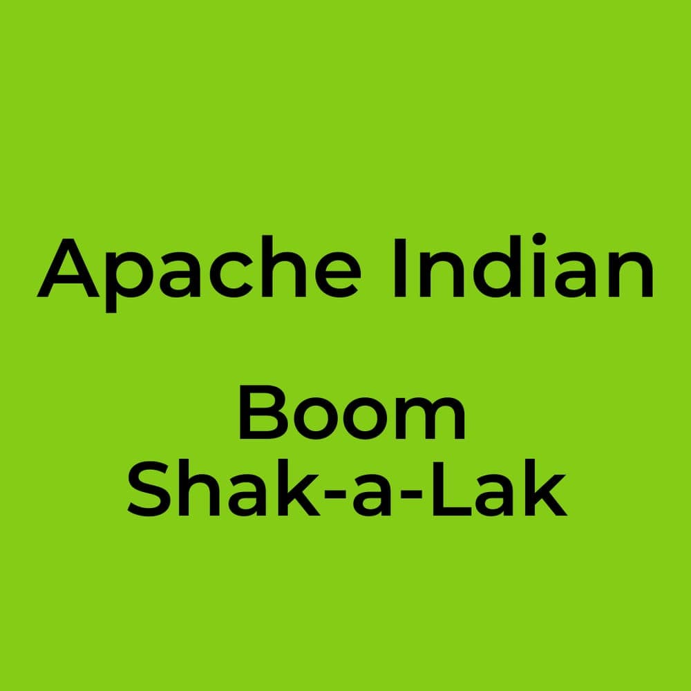 Apache Indian - Boom Shak-a-Lak