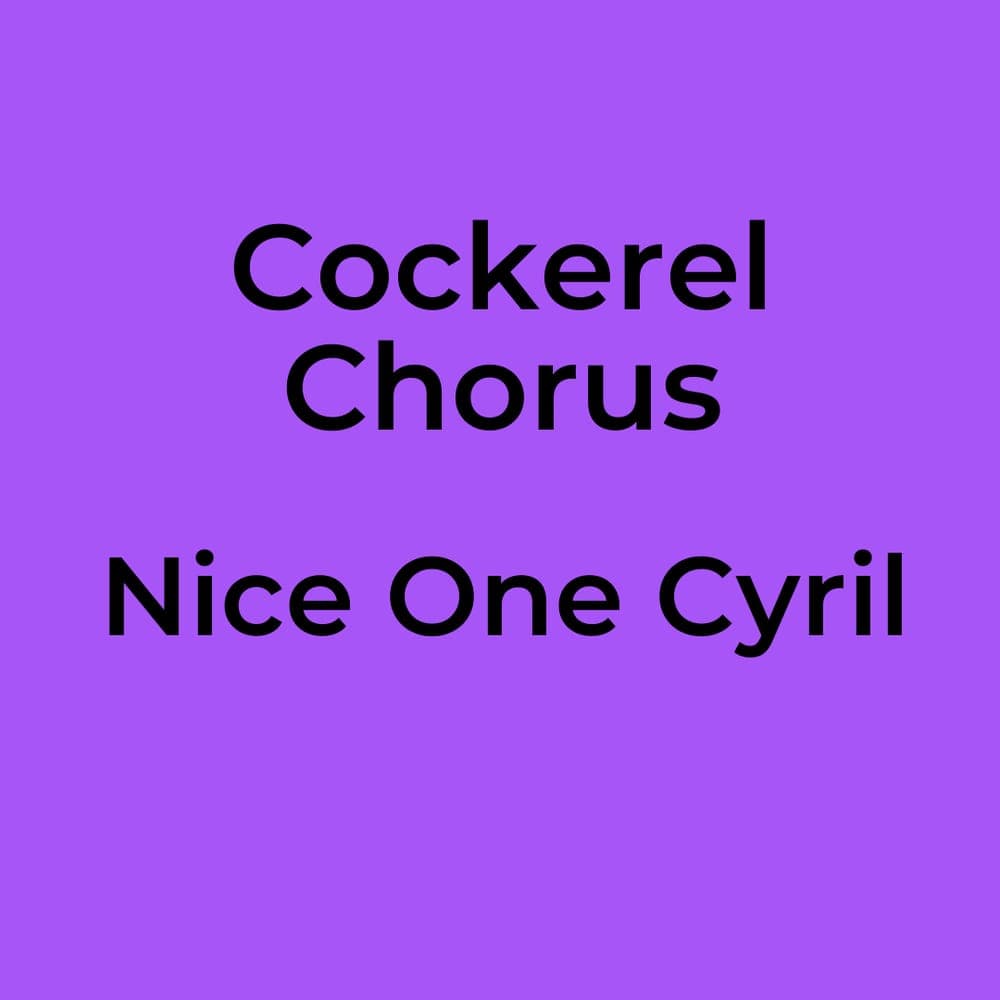 Cockerel Chorus - Nice One Cyril